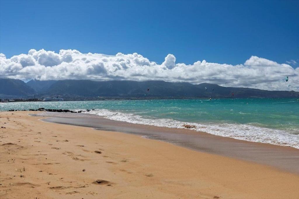 Unit 14 Maui Ohana Modern Studio Wailuku 外观 照片